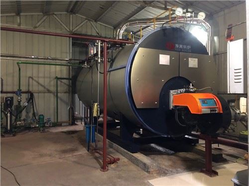 Diżil tal-Gass WNS spara 6000 kg bojler tal-fwar fiċ-Ċina