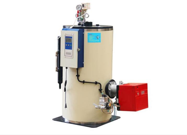 0.5T Gas Powered Steam Generator For Spa