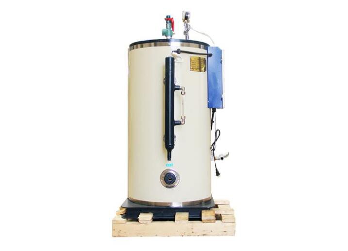 Diesel Oil Heating Gas Fuel Vertical Steam Generator Fast